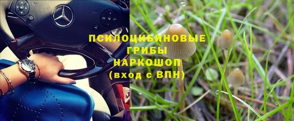 гашик Абаза