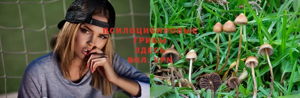 мескалин Абдулино
