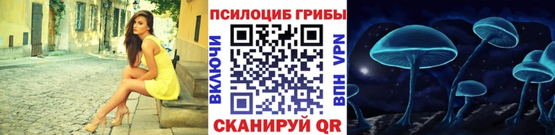 Галлюциногенные грибы Cubensis  где купить наркоту  darknet наркотические препараты  Горячеводский 